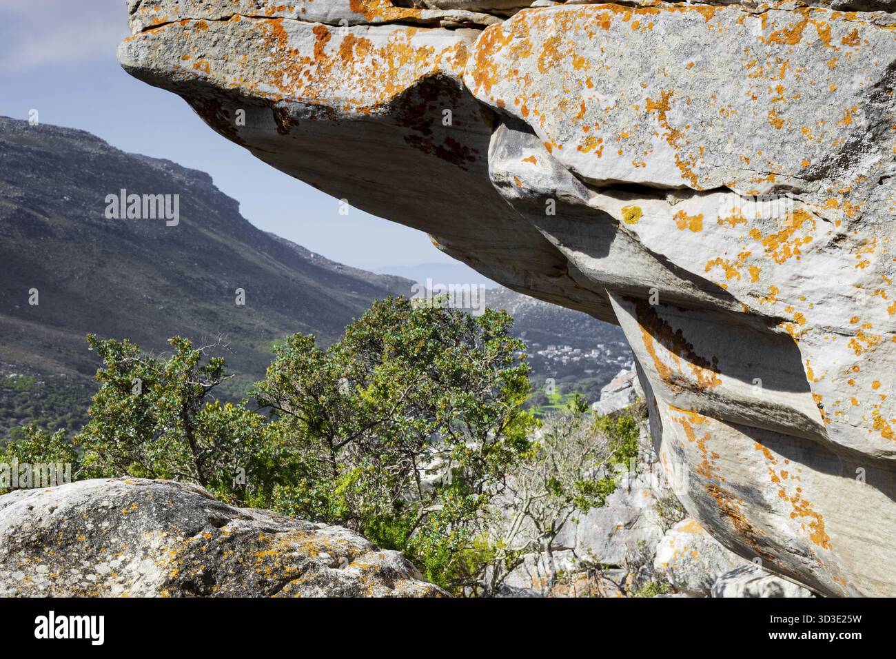 Zerklüftete Berglandschaft mit Fynbos-Flora in Kapstadt, Südafrika Stockfoto