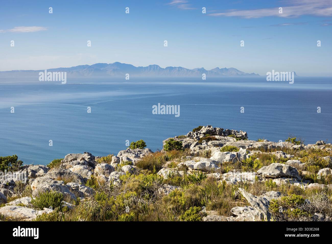 Küstenberglandschaft mit Fynbos Flora in Kapstadt Südafrika, Kapstadt, Südafrika Stockfoto