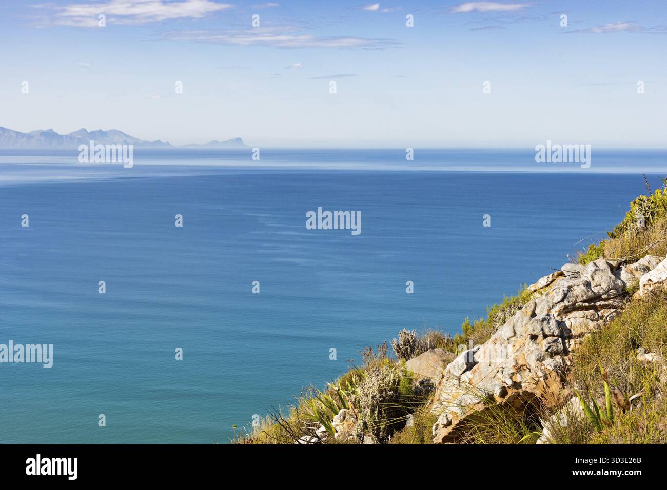 Küstengebirgslandschaft mit Fynbos-Flora in Kapstadt Südafrika Stockfoto