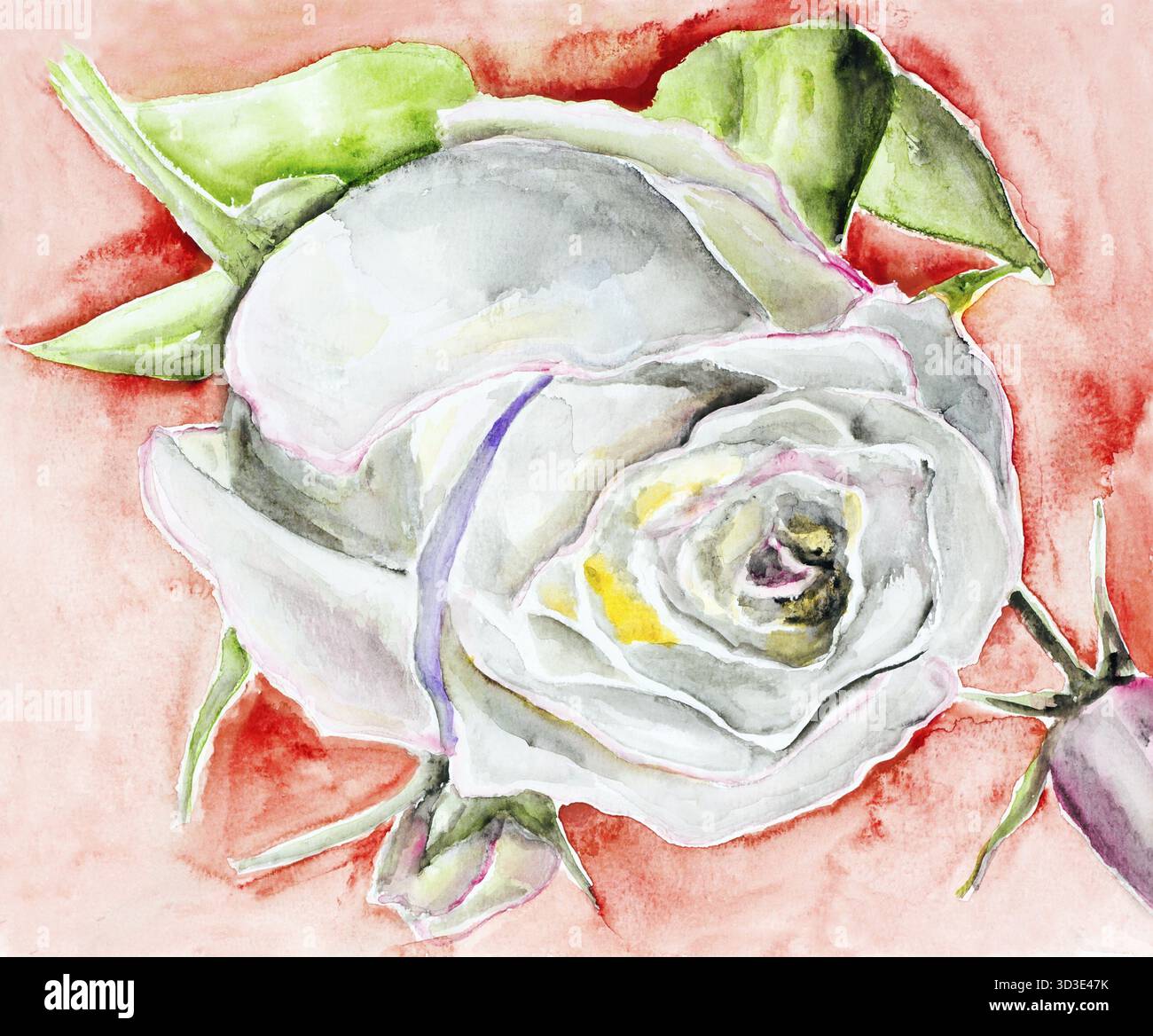 Weiße rose liegt auf ein blutig roten Hintergrund - handgemachte Aquarellmalerei Illustration auf weißem Papier Kunst Hintergrund Stockfoto