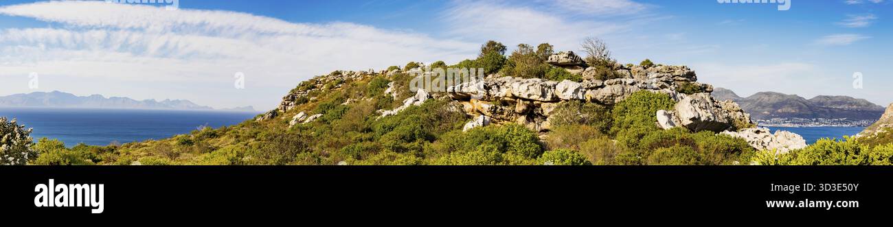 Küstenberglandschaft mit Fynbos Flora in Kapstadt Südafrika, Kapstadt, Südafrika Stockfoto