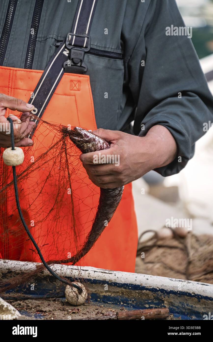 Fischer die Entwirrung Fisch im Netz, Dubrovik, Kroatien gefangen Stockfoto