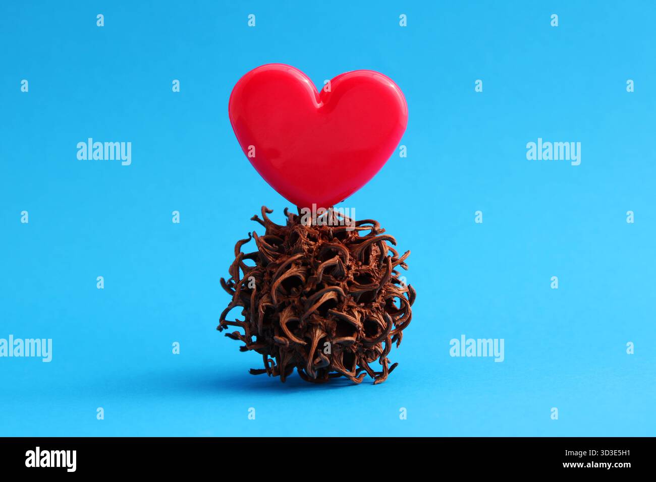 Liebe überwindet jeden Konflikt, Herz auf einem spitzen Ball Stockfoto