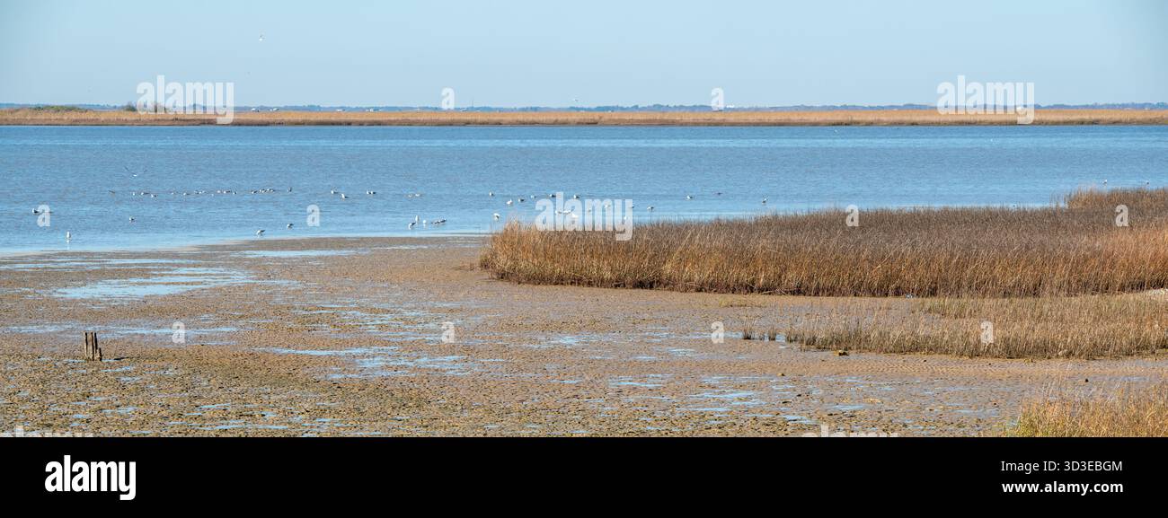 Fort Anahuac Park in Texas Stockfoto