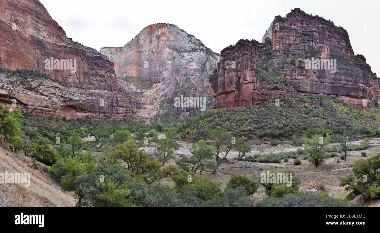 Der Virgin River, der durch den roten Felsschlucht des Zion National Park, Utah, fließt. Stockfoto