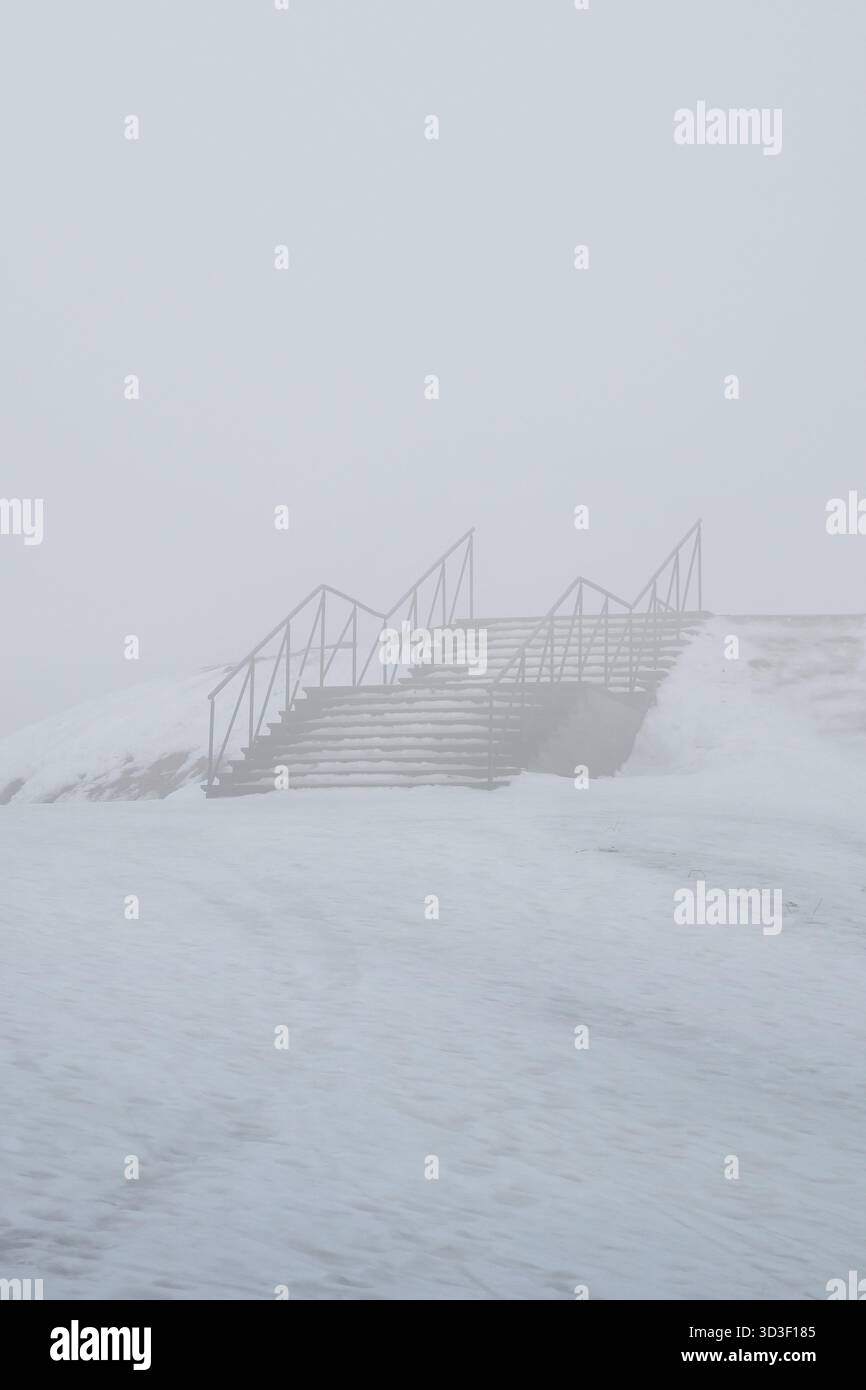 Treppen draußen in einem Park in dichtem Nebel, Treppen ins Nirgendwo oder unbekanntes Konzept. Stockfoto