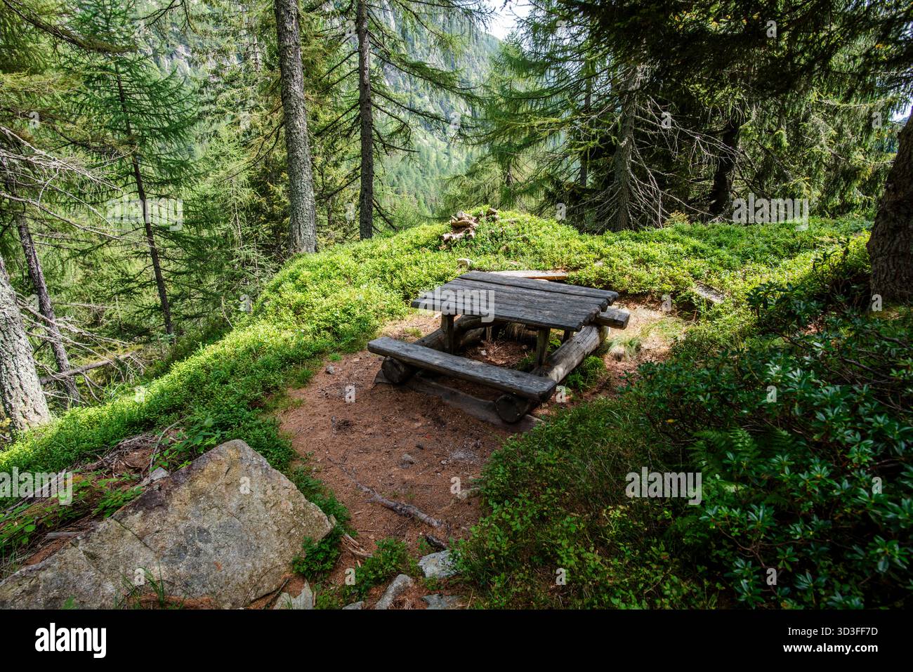 Picknicktisch aus Holz im Alpenwald von Lagorai, Trentino. Friedliche Ruhezone umgeben von Kiefern, Felsen und üppiger Bergvegetation. Stockfoto