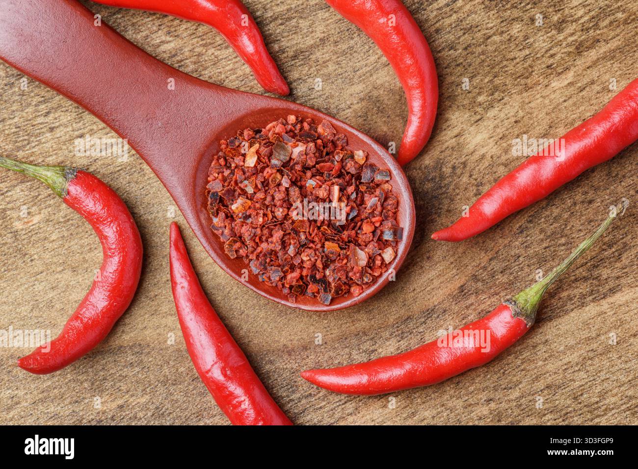 Holzlöffel getrocknete Chilischoten unter frischen Paprika Stockfoto
