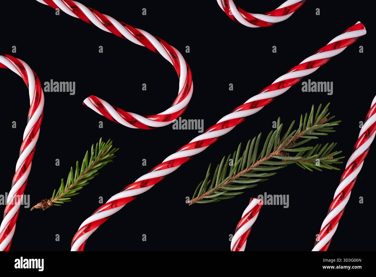 Festliches Bild von roten und weißen Zuckerrohrstäbchen, begleitet von Zweigen von Kiefernästen vor schwarzem Hintergrund, symbolisiert Feiertagsfeier Stockfoto