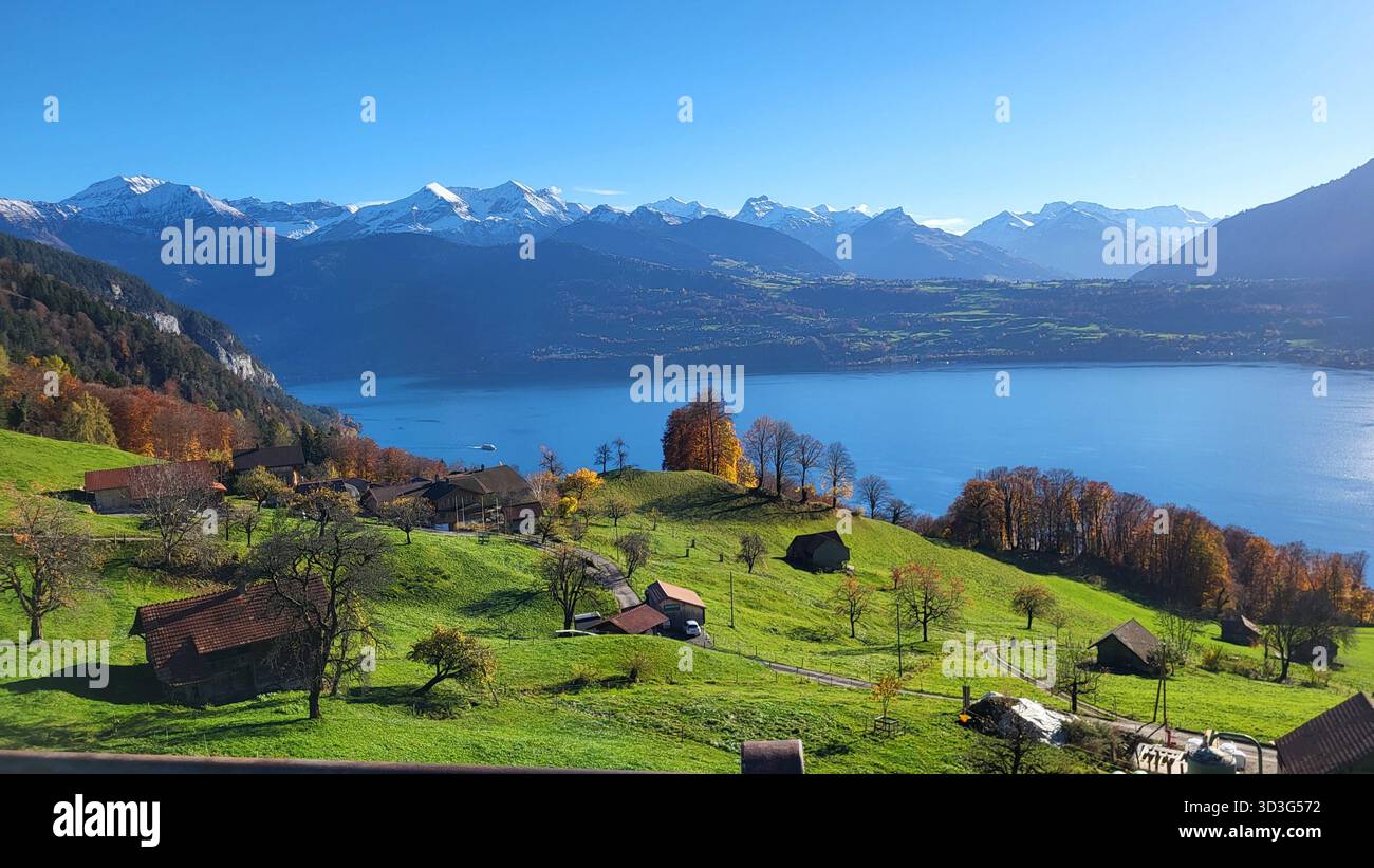Herbstlandschaft mit bunten Bäumen und Blick auf die Schweizer Alpen im Berner Oberland und den Thunersee in der Schweiz Stockfoto