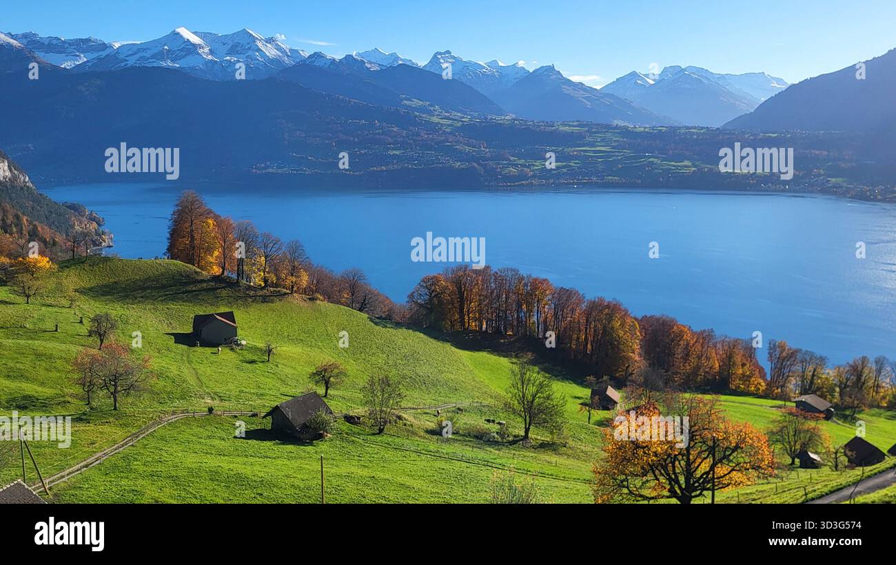 Herbstlandschaft mit bunten Bäumen und Blick auf die Schweizer Alpen im Berner Oberland und den Thunersee in der Schweiz Stockfoto
