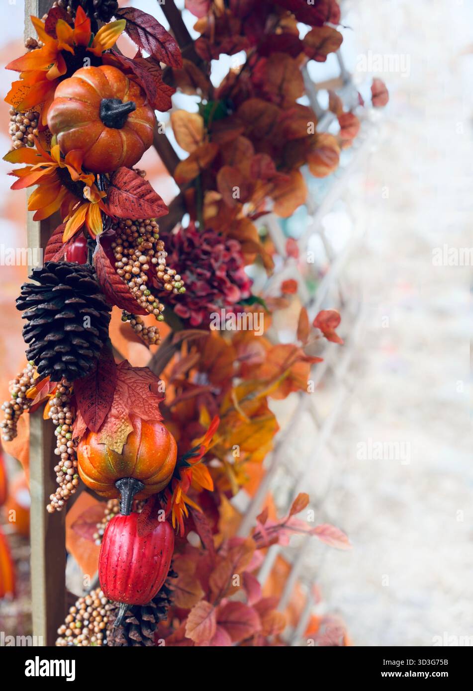 Herbstkranz mit kleinen dekorativen Kürbissen, Tannenzapfen und Blättern in verschiedenen Formen und Farben. Minimalistisches Konzept für Ernte, Herbst, Hallowen. Stockfoto