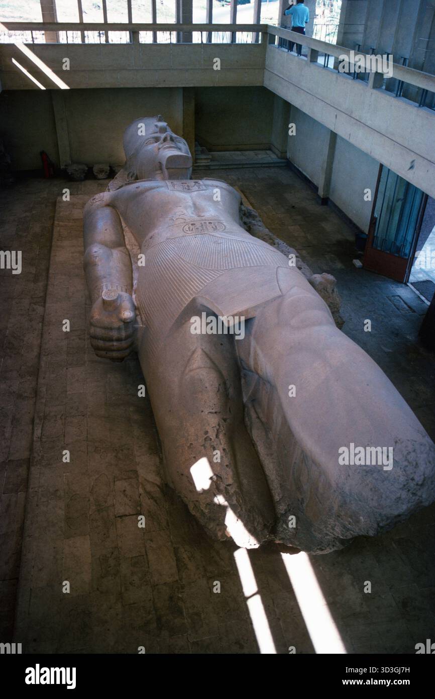 Memphis Egypt 1976 - kolossale Kalksteinstatue von Ramses II. In einem eigenen Gehege in den Ruinen von Memphis, der alten Hauptstadt von Niederägypten, in der Nähe des heutigen Dorfes mit Rahina, etwa 20 Kilometer südlich von Kairo in Ägypten Stockfoto