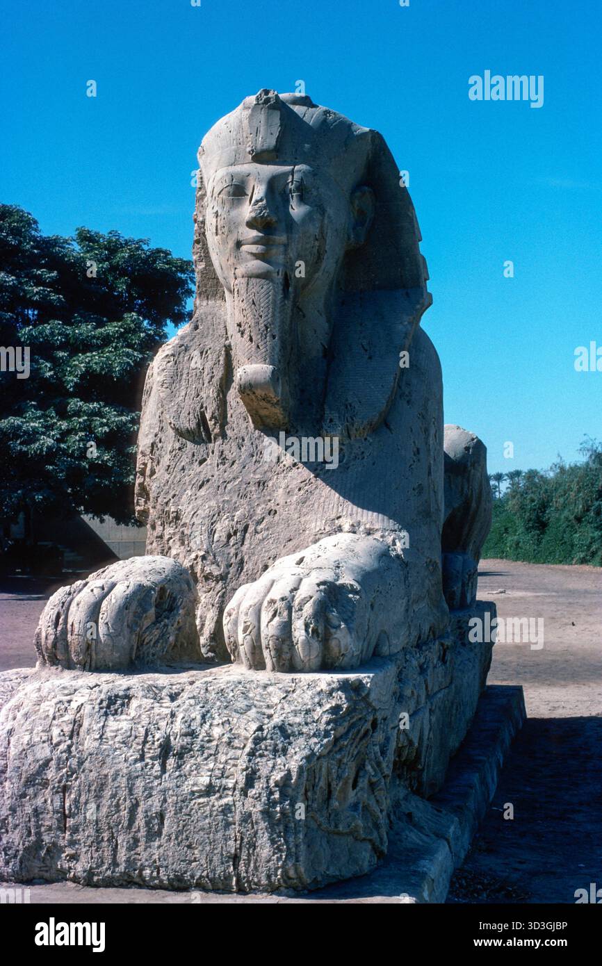 Memphis Egypt 1976 – Alabaster Sphinx in der Nähe des Tempels von Ptah in Memphis, der alten Hauptstadt Niederägyptens, in der Nähe des heutigen Dorfes mit Rahina, etwa 20 Kilometer südlich von Kairo in Ägypten Stockfoto