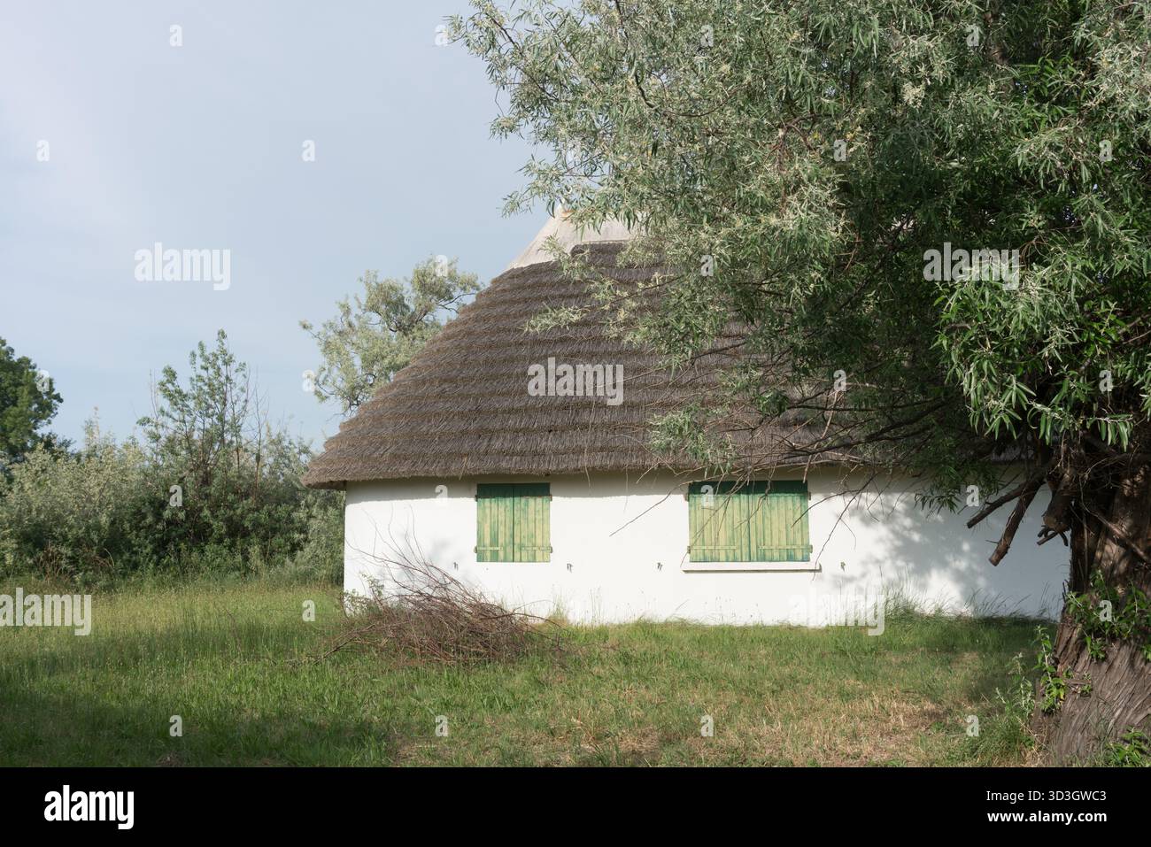 Traditionelles Haus in der Camargue, Frankreich Stockfoto