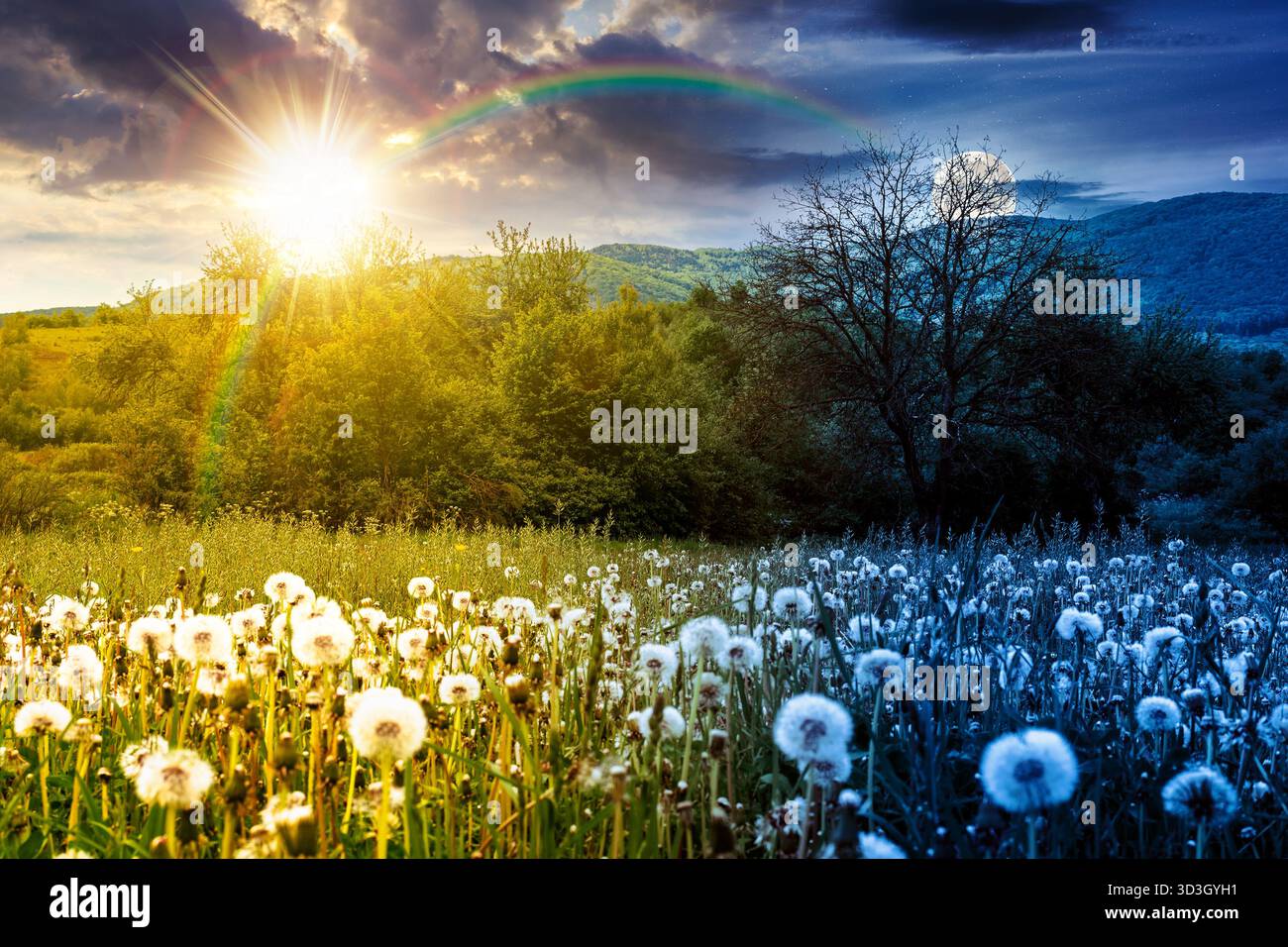 Ländliche Landschaft mit blühendem Löwenzahnfeld an Frühlings-Tagundnachtgleiche. Tag- und Nachtzeitwechsel. Ackerland mit Berg unter der Sonne und Stockfoto