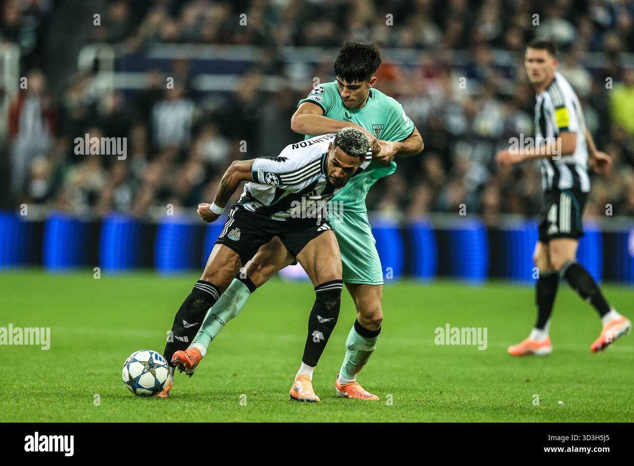 Joelinton von Newcastle United und Alejandro Rego vom Athletic Club kämpfen am 4. Spieltag der UEFA Champions League von 8 Newcastle United gegen Athletic Club in St. James's Park, Newcastle, Vereinigtes Königreich, 5. November 2025 (Foto: Alfie Cosgrove/News Images) *** GER AUT SUI OUT *** Stockfoto