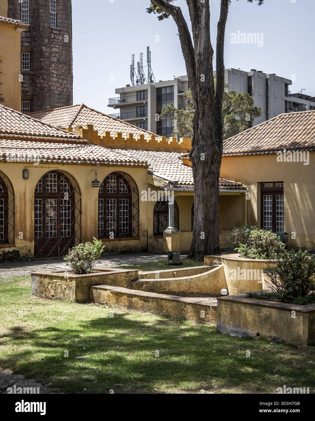 Blick auf die komplizierte gelbe Architektur und alte Steinmauern, die mit modernen Gebäuden und einem hohen Baum, der Schatten auf dem Rasen wirft, Cascais, L Stockfoto