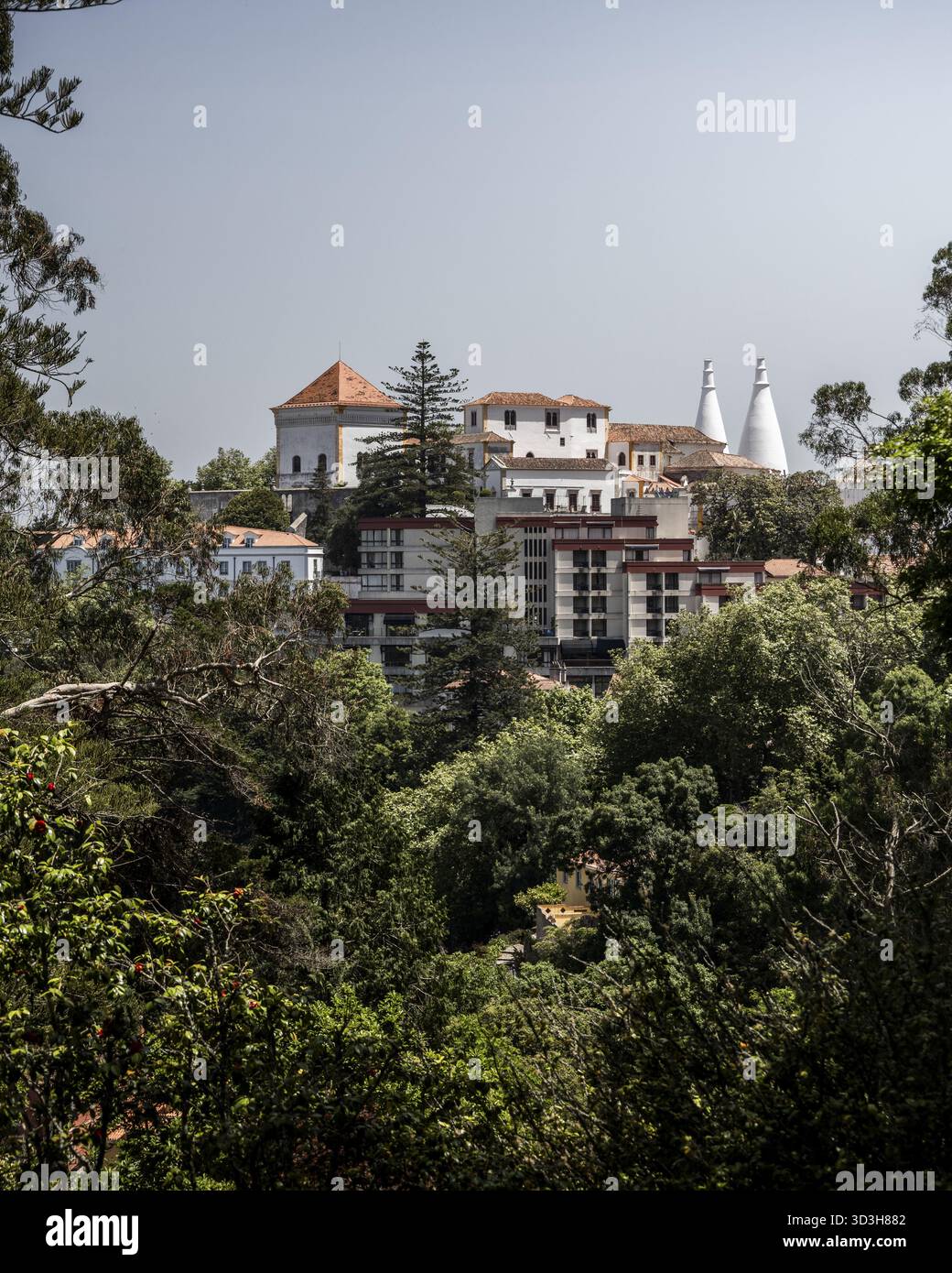Blick auf weiße Gebäude mit orangefarbenen Dächern blickt durch ein dichtes Walddach, im Kontrast zum tiefgrünen Laub, Sintra, Lissabon, Portugal. Stockfoto