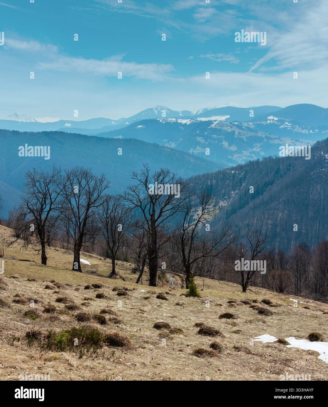 Der frühe Frühling Karpaten plateau Landschaft mit schneebedeckten Grat tops in weit, Ukraine. Stockfoto