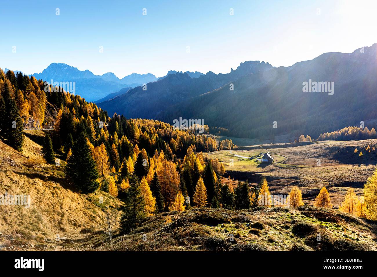 Wunderschöne Landschaft vom Valle Alpenpass in den dolomiten in italien, spektakuläres Herbstlaub, goldene Lärchen und Berge im Hintergrund Stockfoto