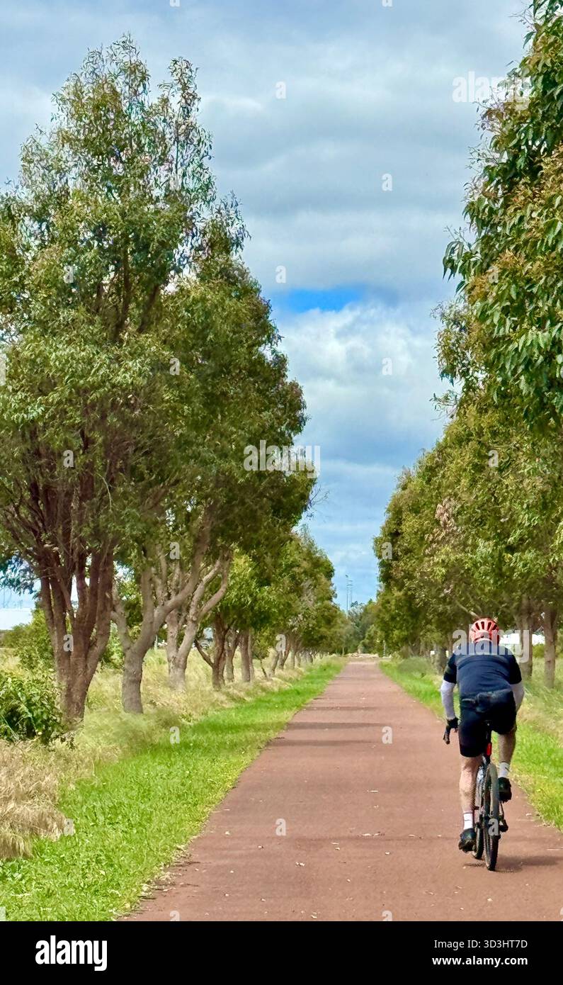 Männlicher Radfahrer fährt Fahrrad auf neuer Sektion. Von Wadandi Track in Vasse Western Australia - Smartphone-aufgenommenes Stockfoto