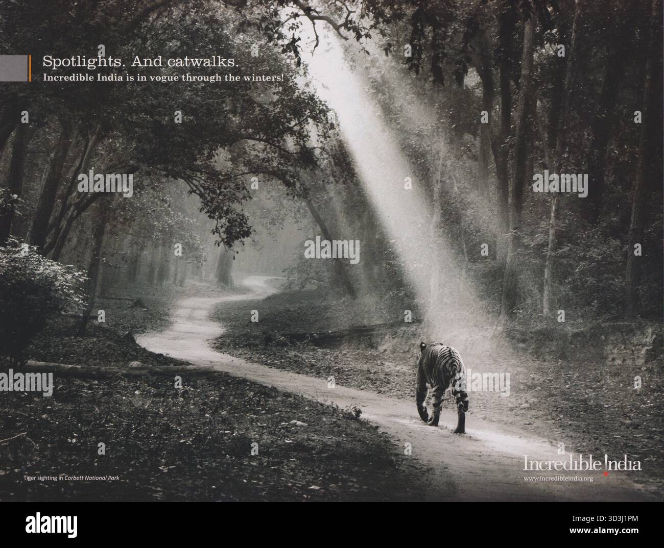 Plakat für unglaubliche Indien-Werbekampagnen im Papiermagazin von 2011, Spotlights. Und Laufstege. Creative India 2010s Werbespot Stockfoto