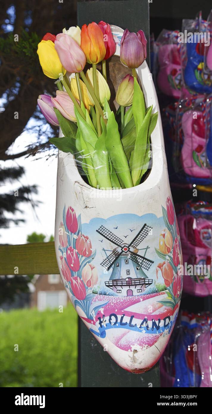 Volendam, Niederlande, 2. Juni 2024. Souvenirs aus Holland. Tulpen und Holzschuhe. Stockfoto