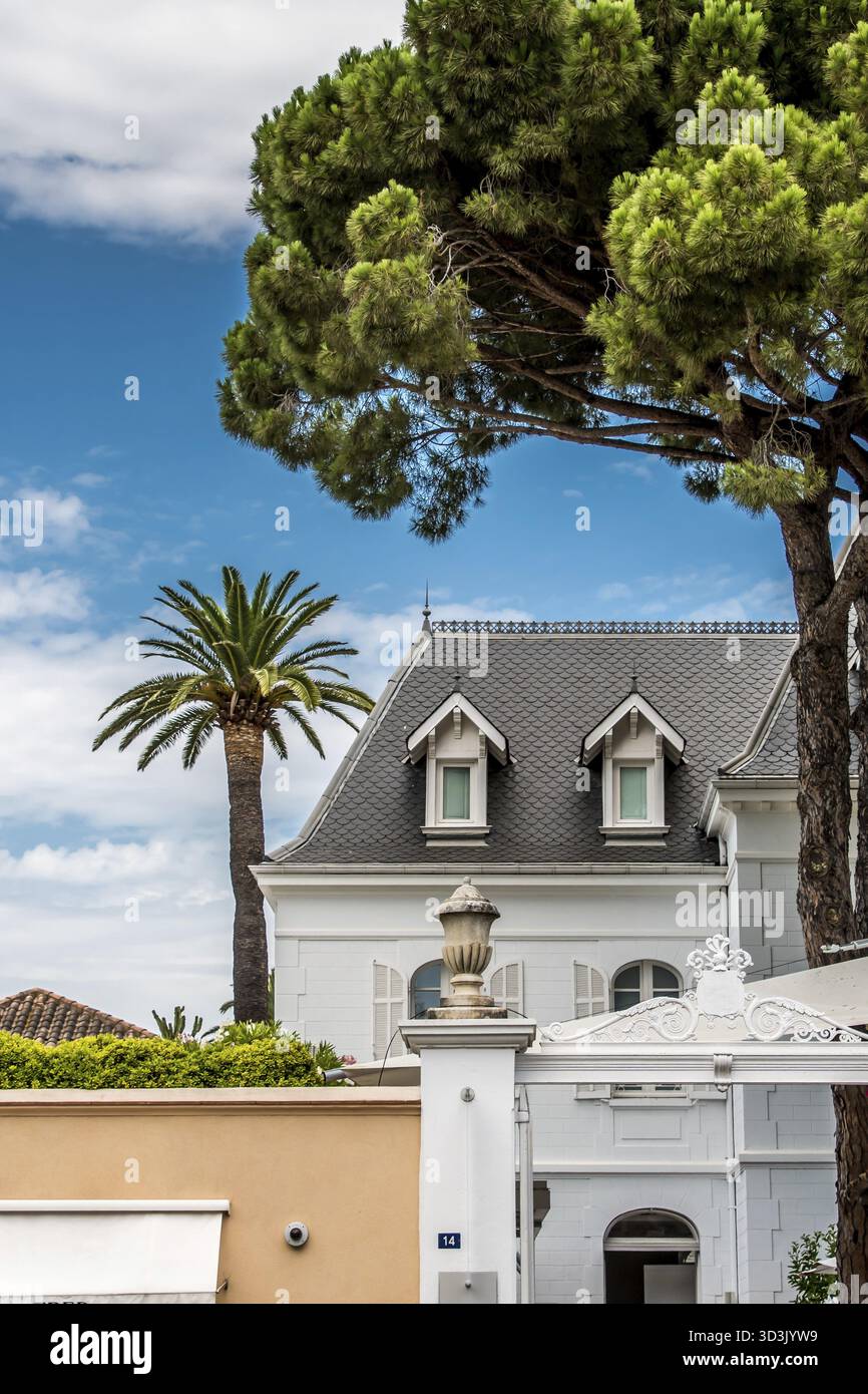 Palmier et Hotel de luxe Blanc sur ciel bleu a Saint-Tropez en France Stockfoto