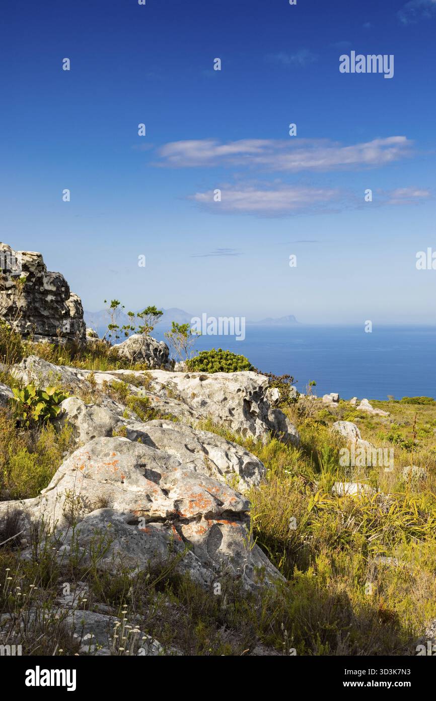 Küstenberglandschaft mit Fynbos Flora in Kapstadt Südafrika, Kapstadt, Südafrika Stockfoto