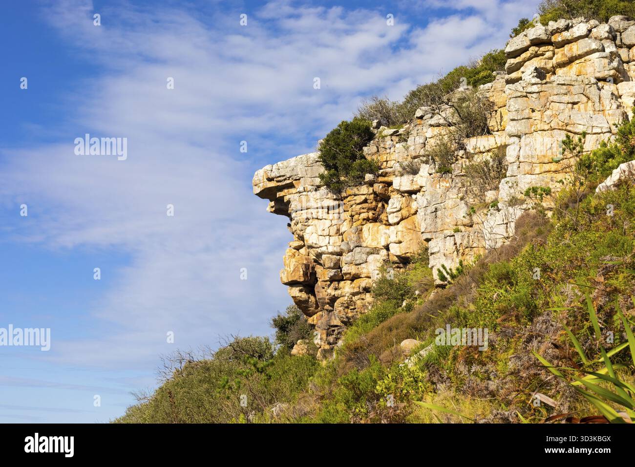 Zerklüftete Berglandschaft mit Fynbos-Buschflora in Kapstadt Südafrika Stockfoto