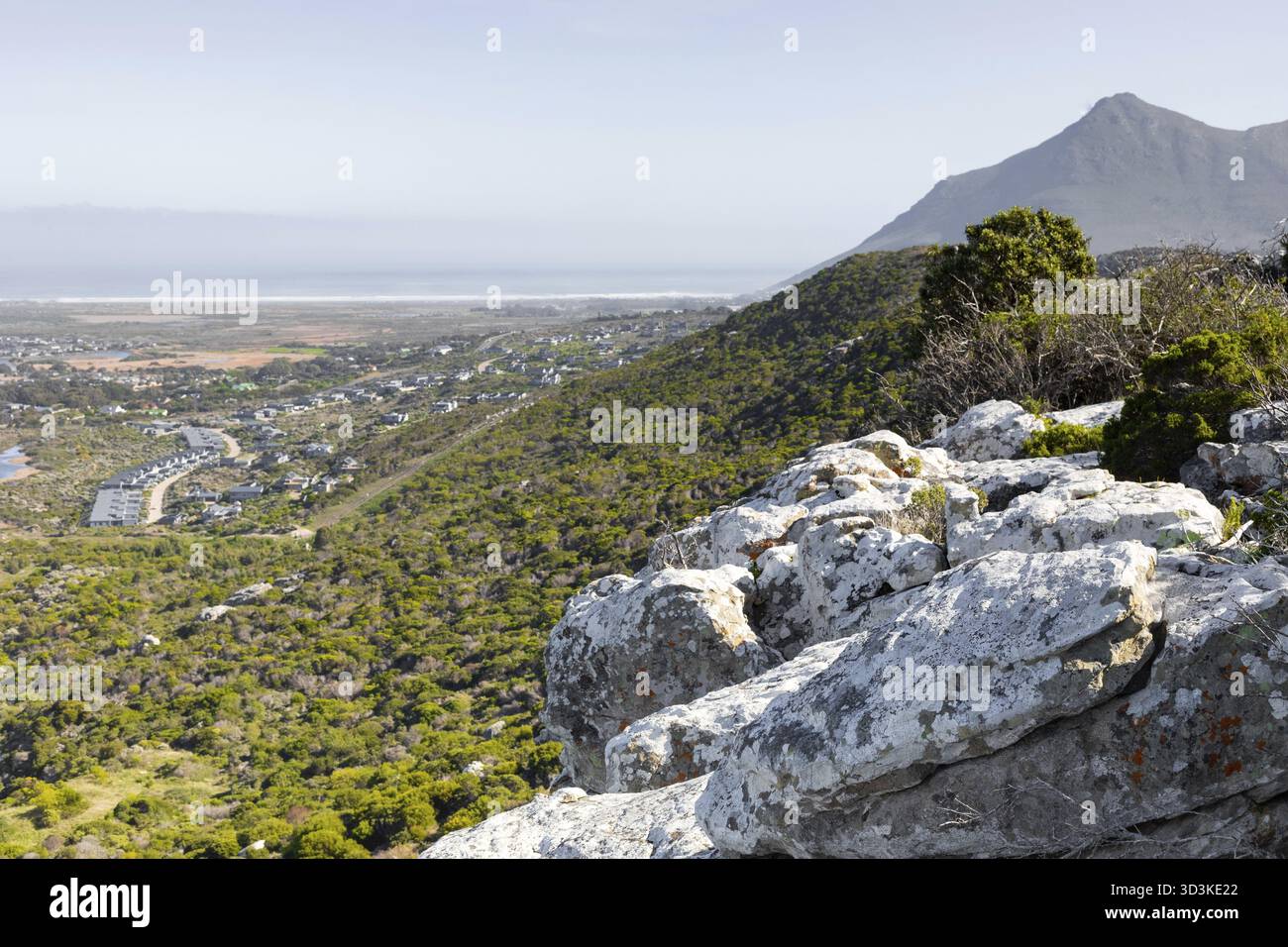 Zerklüftete Berglandschaft mit Fynbos-Flora in Kapstadt, Südafrika, Fish Hoek, Südafrika Stockfoto