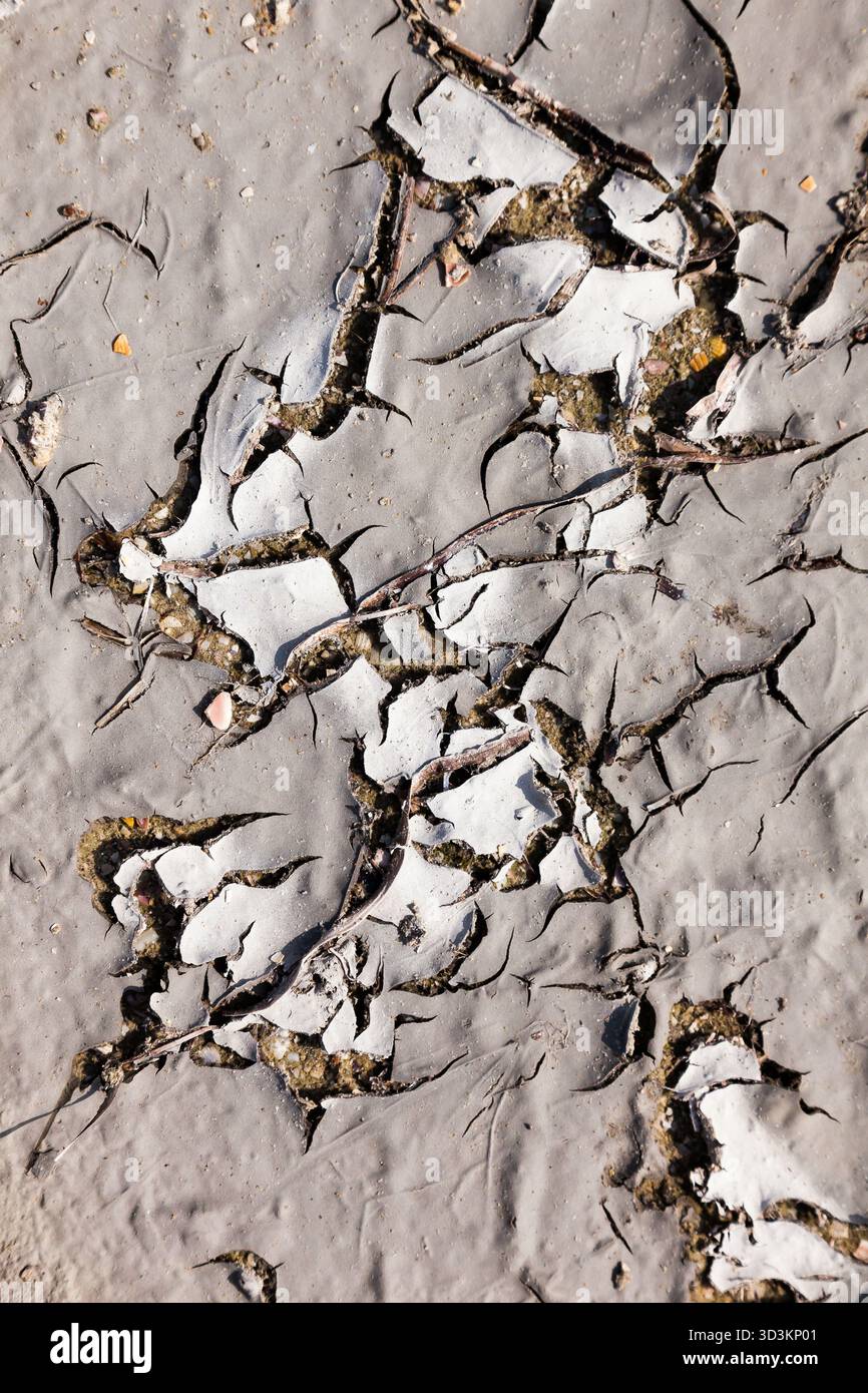 Gerissener, trockener Boden. Getrockneter Schlamm mit Rissen im Sand. Stockfoto
