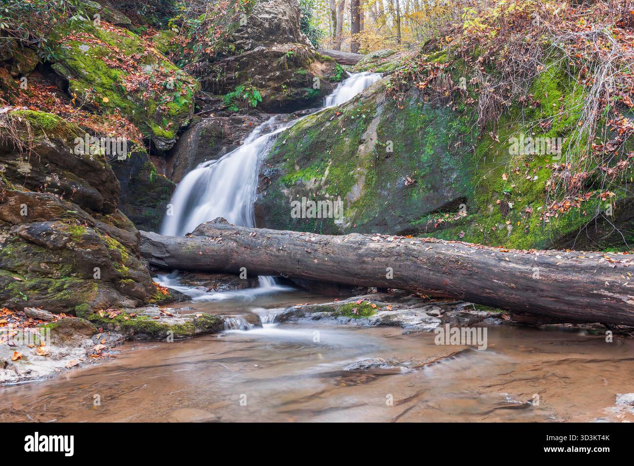 Mill Creek Falls im Herbst. York County. Pennsylvania. USA Stockfoto
