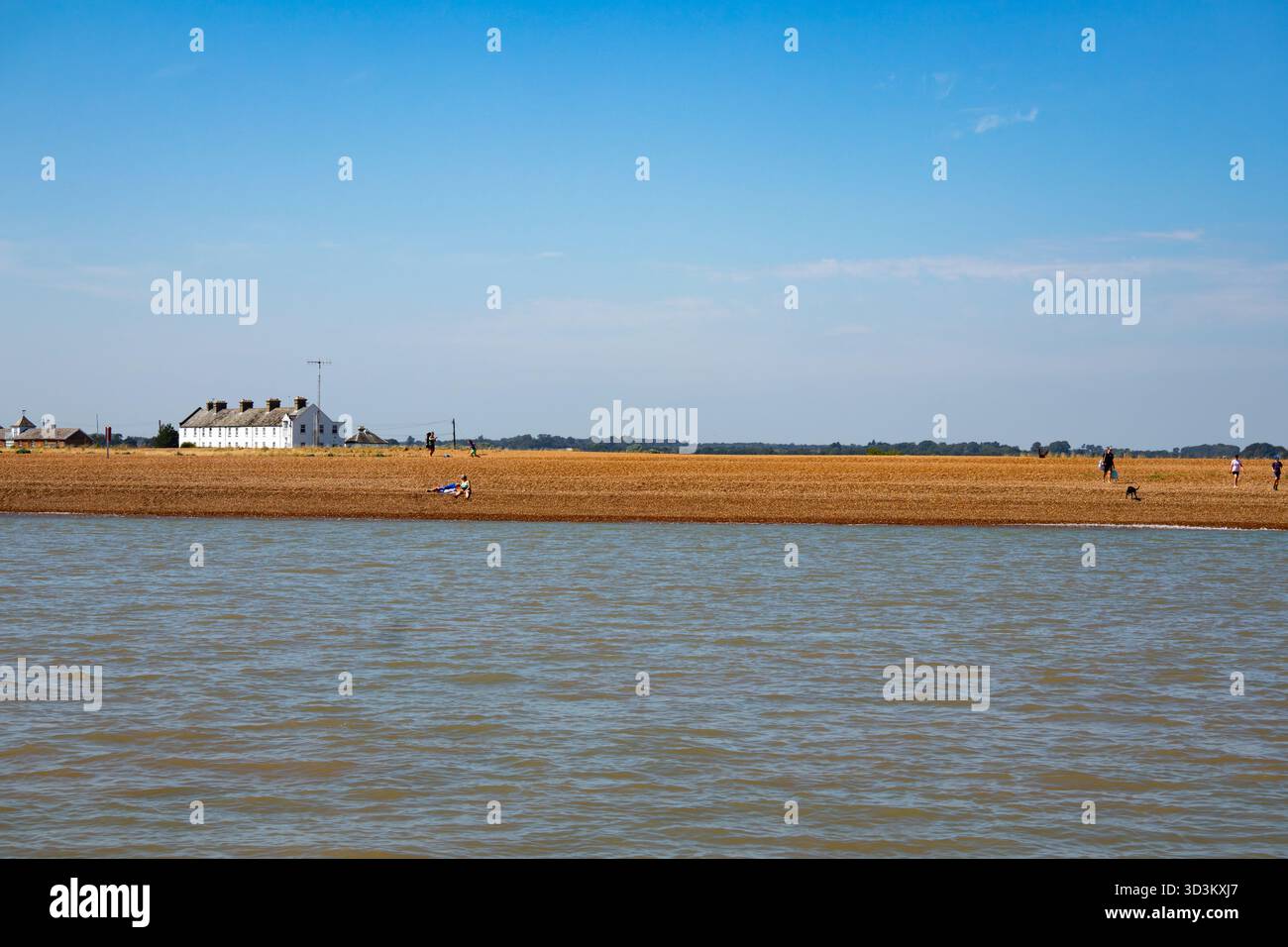 Eine Reihe weiß getünchter Cottages an der Shingle Street nördlich von Bawdsey von der Mündung des Flusses Ore und des Flusses ALDE Suffolk England Stockfoto