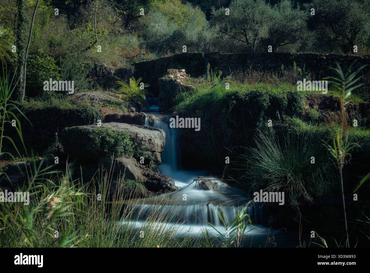 Langzeitaufnahme eines kleinen Wasserfalls, der über dunkle moosige Felsen stürzt, umgeben von üppiger grüner Vegetation und Bäumen unter weichem Tageslicht mit t Stockfoto