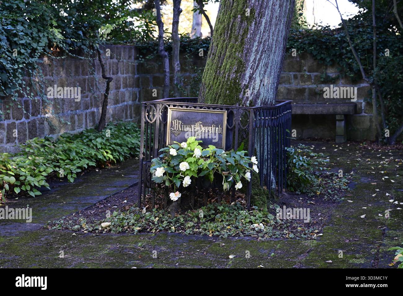 Städtischer Friedhof, Görlitz, Grab der Herzlieb, Minna 1789 - 1865, Wilhelmine Herzlieb, Freundin J.W. Goethes, vermutlich Vorbild der Ottilie in den Wahlverwandtschaften, in der Reimerschen Nervenheilanstalt zu Görlitz verstorben großzügig gestaltete Grabanlage, mittig eine Linde, schmiedeeiserner Zaun mit gusseisernen Schriftplatten, Errichtung durch Goethe-Gesellschaft vermutlich 1888/89, seit 1931 mit Mauer umgeben. Görlitz, 06.11.2025 *** Gemeindefriedhof, Görlitz, Grab Herzlieb, Minna 1789 1865, Wilhelmine Herzlieb, Freund von J. W. Goethe, vermutlich das Modell für Ottilie im El Stockfoto
