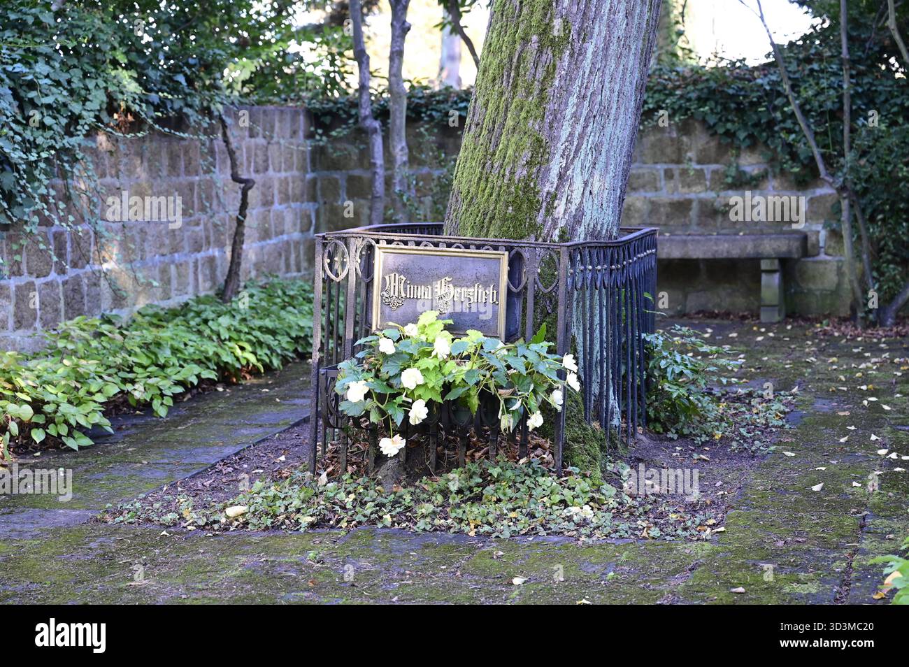 Städtischer Friedhof, Görlitz, Grab der Herzlieb, Minna 1789 - 1865, Wilhelmine Herzlieb, Freundin J.W. Goethes, vermutlich Vorbild der Ottilie in den Wahlverwandtschaften, in der Reimerschen Nervenheilanstalt zu Görlitz verstorben großzügig gestaltete Grabanlage, mittig eine Linde, schmiedeeiserner Zaun mit gusseisernen Schriftplatten, Errichtung durch Goethe-Gesellschaft vermutlich 1888/89, seit 1931 mit Mauer umgeben. Görlitz, 06.11.2025 *** Gemeindefriedhof, Görlitz, Grab Herzlieb, Minna 1789 1865, Wilhelmine Herzlieb, Freund von J. W. Goethe, vermutlich das Modell für Ottilie im El Stockfoto