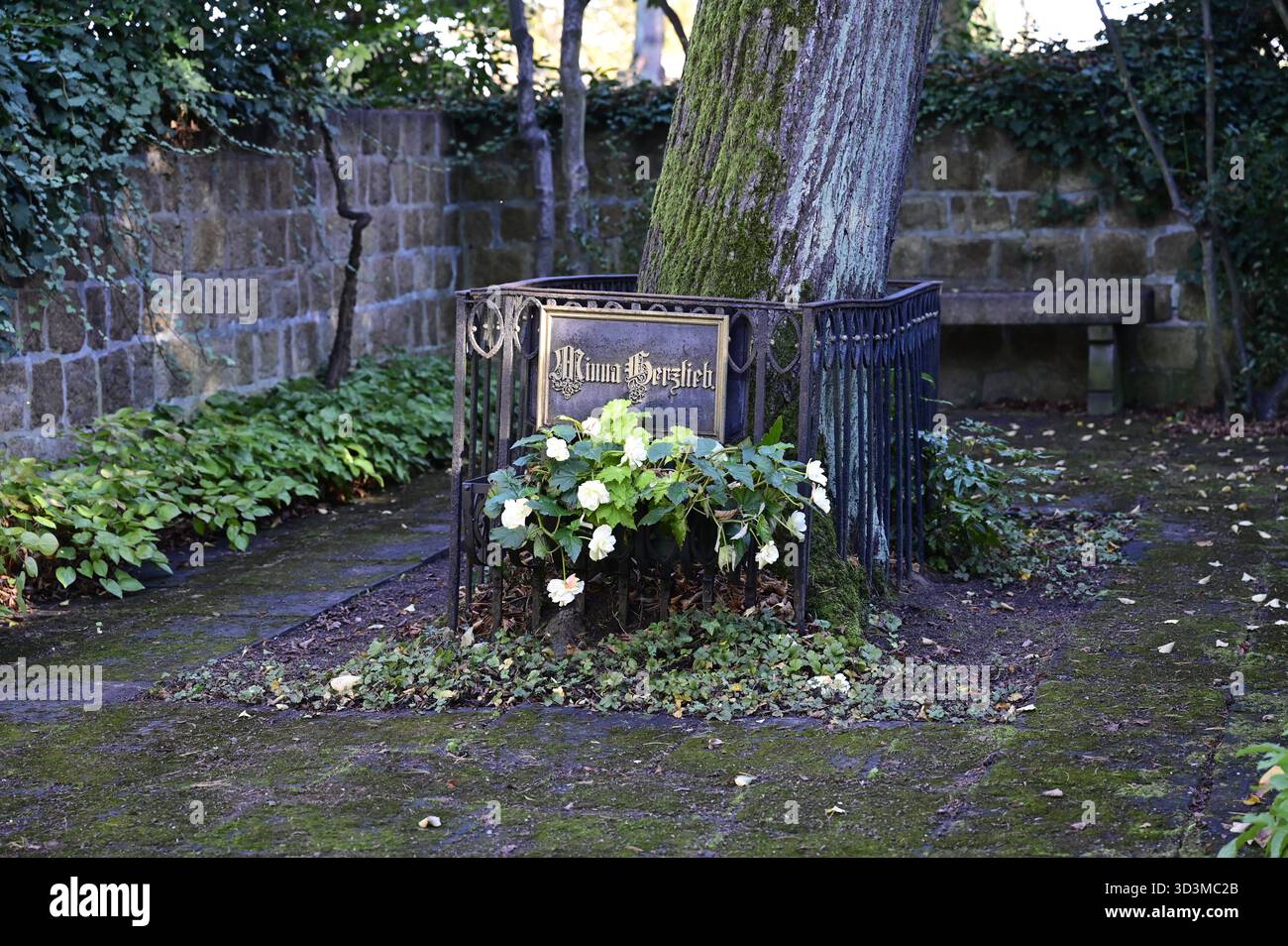 Städtischer Friedhof, Görlitz, Grab der Herzlieb, Minna 1789 - 1865, Wilhelmine Herzlieb, Freundin J.W. Goethes, vermutlich Vorbild der Ottilie in den Wahlverwandtschaften, in der Reimerschen Nervenheilanstalt zu Görlitz verstorben großzügig gestaltete Grabanlage, mittig eine Linde, schmiedeeiserner Zaun mit gusseisernen Schriftplatten, Errichtung durch Goethe-Gesellschaft vermutlich 1888/89, seit 1931 mit Mauer umgeben. Görlitz, 06.11.2025 *** Gemeindefriedhof, Görlitz, Grab Herzlieb, Minna 1789 1865, Wilhelmine Herzlieb, Freund von J. W. Goethe, vermutlich das Modell für Ottilie im El Stockfoto