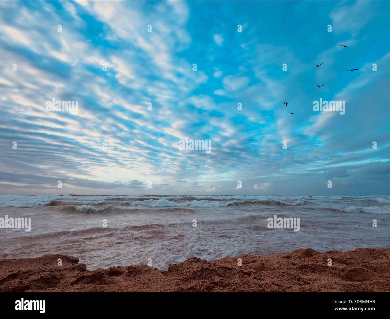 Morgenlicht über Praia do Flamengo in Salvador, Bahia - sanfte Wellen, Wolken und Seevögel über dem Atlantik. - Smartphone-aufgenommenes Stockfoto