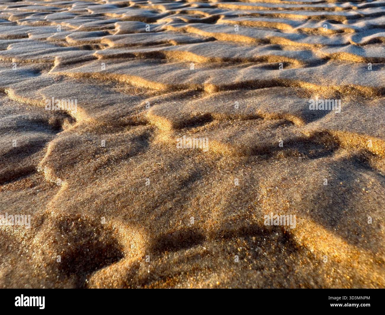 Golden-Hour-Licht, das die komplizierten Wellen der Flut hinterlässt und eine atemberaubende abstrakte Textur am Strand schafft. - Smartphone-aufgenommenes Stockfoto