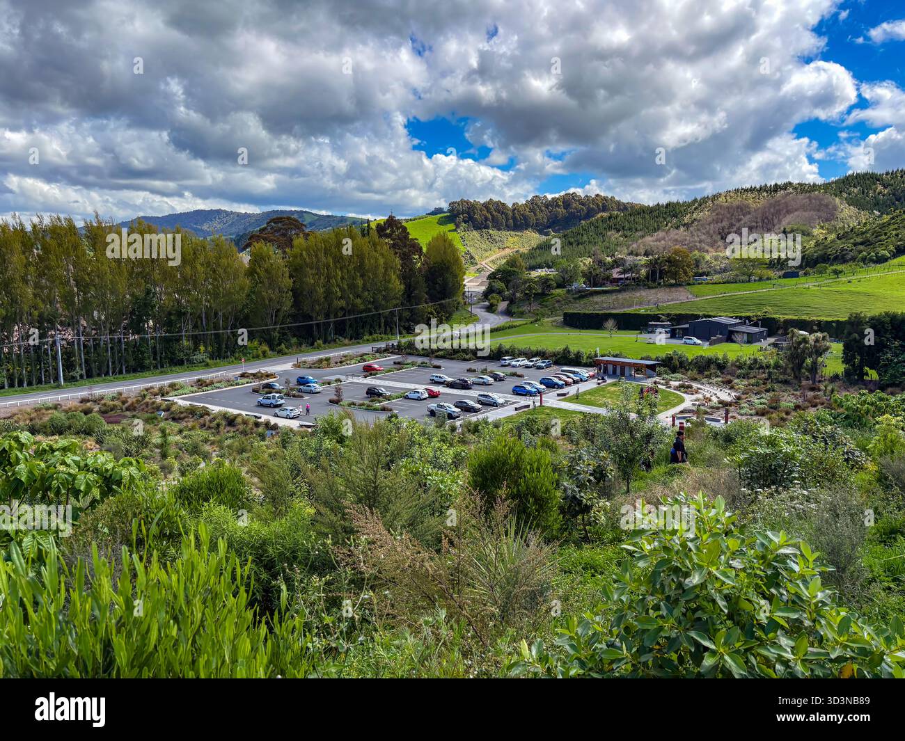 Papamoa Hills Regional Park. Malerische Aussicht auf den Parkplatz des Parks mit Autos, eine gewundene Straße und üppige grüne Hügel unter bewölktem Himmel. Stockfoto