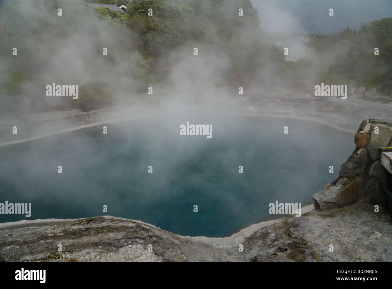 Dampfender geothermischer Pool in Whakarewarewa, The Living Maori Village, Rotorua, Neuseeland. Heißes Wasser und dicker Dampf steigen aus diesem natürlichen Vulkangestein Stockfoto