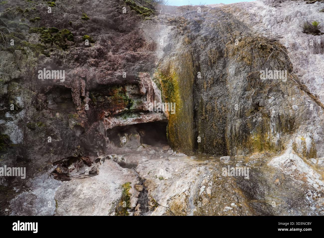 Der geothermische Park Orakei Korako bietet natürliche Dampfdüsen, lebendige mineralgefärbte Felsformationen und Höhlen in seiner aktiven geothermischen Landschaft i Stockfoto