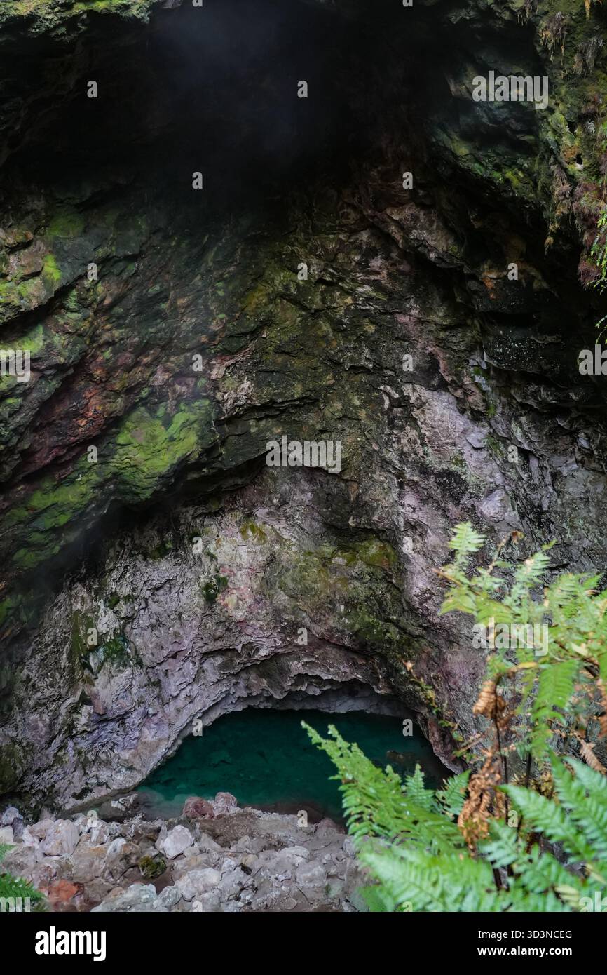 Orakei Korako geothermische Höhle mit einem lebhaften türkisfarbenen Pool, umgeben von moosbedeckten Felsformationen. Eine einzigartige Naturlandschaft in Neuseeland. Stockfoto