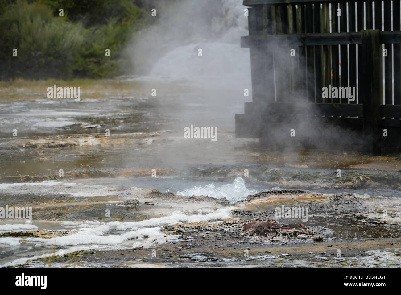 Der Geothermalpark Orakei Korako bietet natürliche geothermische Aktivitäten mit aufsteigendem Dampf, sprudelndem heißem Wasser und mineralgefärbtem Boden in der Nähe einer hölzernen Wanne Stockfoto
