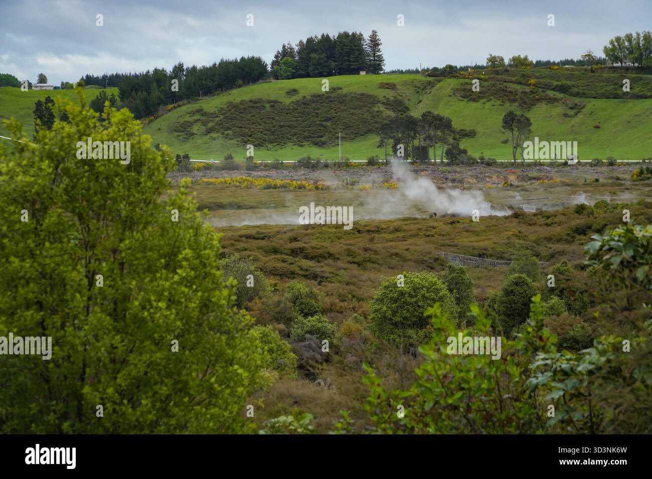 Krater des geothermischen Parks Moon in Taupo, Neuseeland, mit Dampfdüsen und üppiger natürlicher Vegetation an einem bewölkten Tag. Stockfoto
