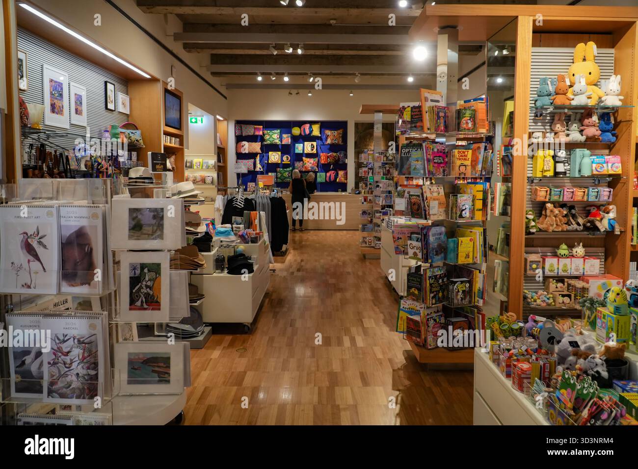 Art Gallery of New South Wales Souvenirladen in Sydney, Australien, in dem verschiedene Waren wie Kunstbücher, Plüschtiere und Souvenirs ausgestellt werden. Stockfoto