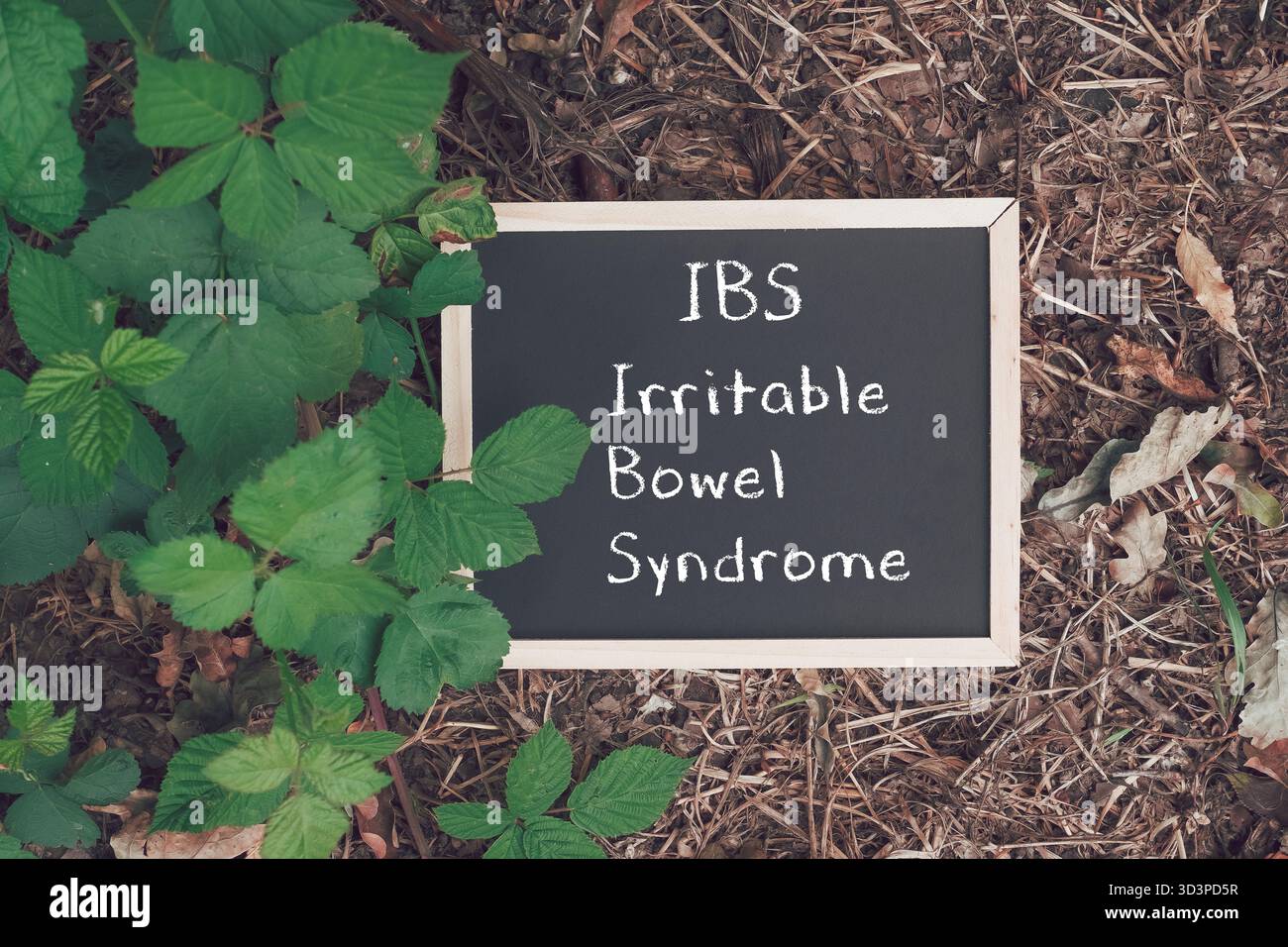 Das Schild mit der Kreidetafel zeigt das Akronym IBS und das Full Term Reizdarm, das auf einem erdigen Boden mit üppig grünen Blättern platziert wird und ein natürliches an schafft Stockfoto