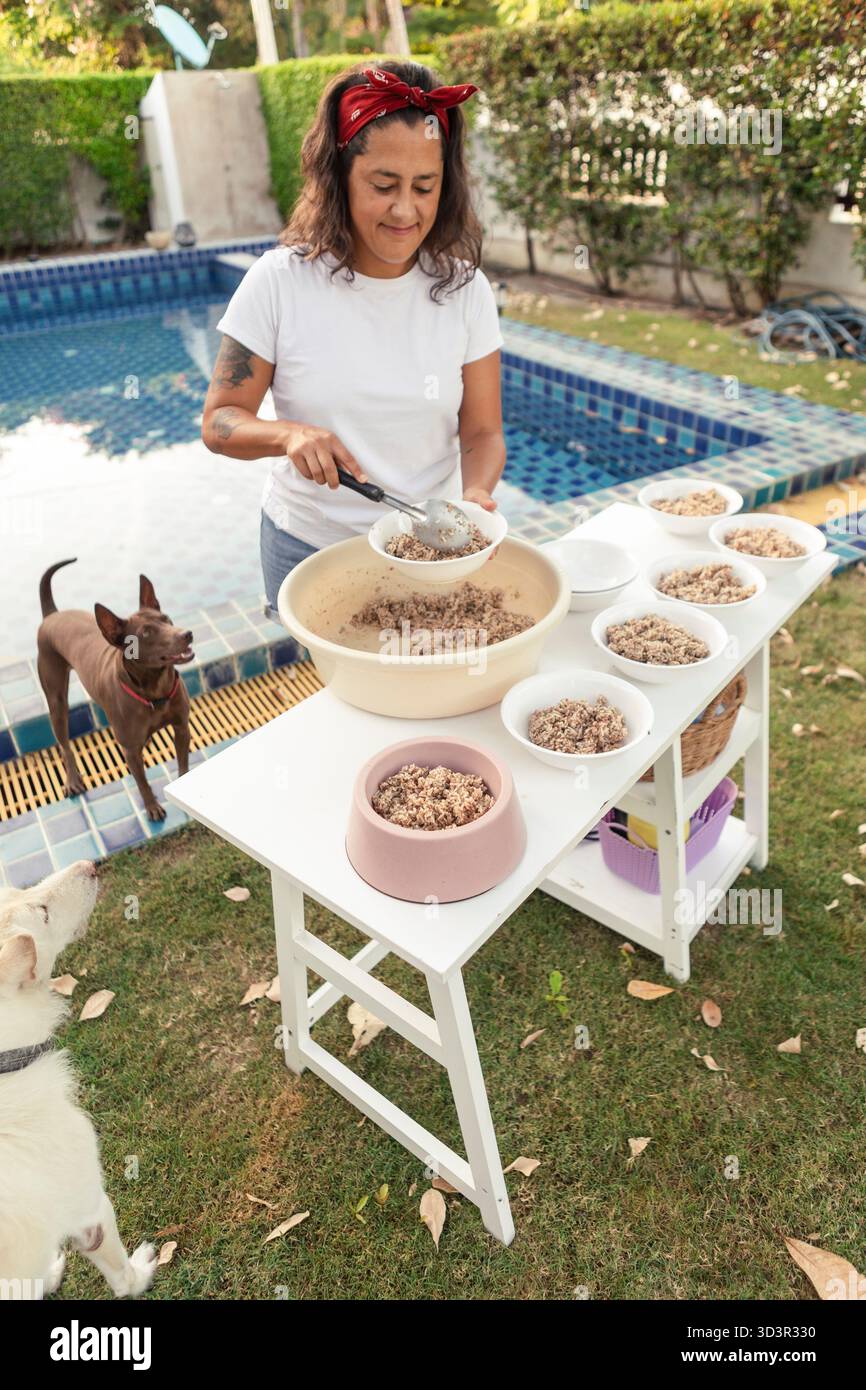 Eine Frau bereitet gesunde Mahlzeiten für thailändische Hunde am Pool zu. Die Szene zeigt eine tägliche Haustierpflege, bei der der Schwerpunkt auf Ernährung und Bindung liegt Stockfoto